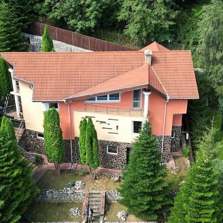 Marble Villa: Luxury Estate - Central But Intimate ซินายา ภายนอก รูปภาพ