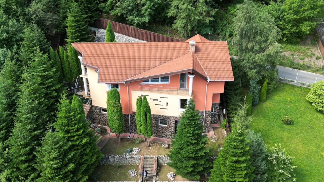 Marble Villa: Luxury Estate - Central But Intimate ซินายา ภายนอก รูปภาพ